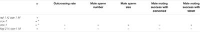 Mitonuclear Mismatch is Associated With Increased Male Frequency, Outcrossing, and Male Sperm Size in Experimentally-Evolved C. elegans